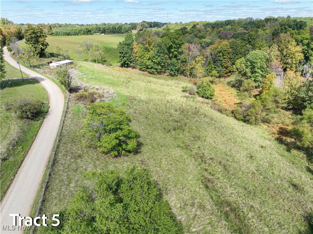 Crews Lane, Chesterhill, Ohio image 36