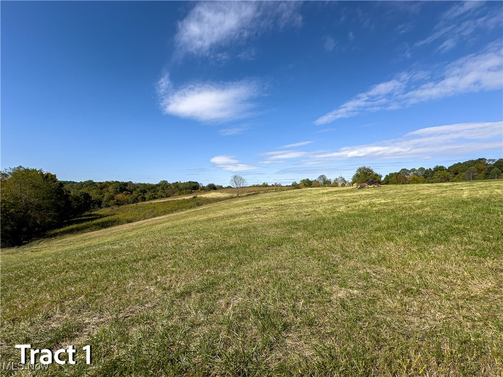 Crews Lane, Chesterhill, Ohio image 7