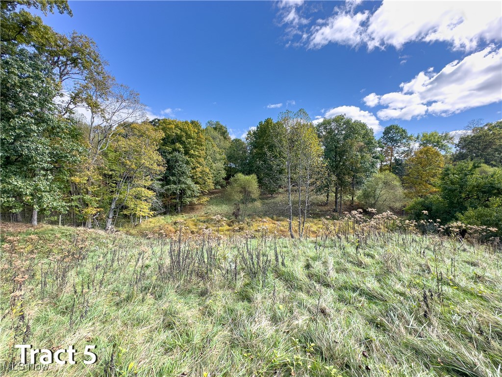 Crews Lane, Chesterhill, Ohio image 40