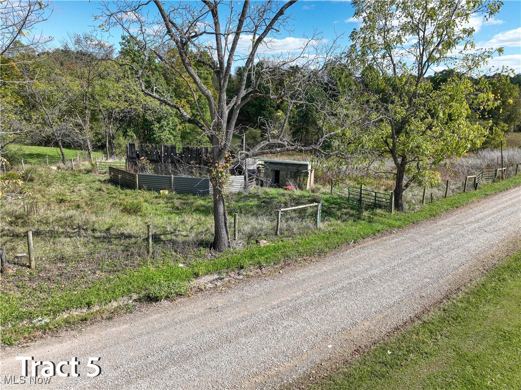 Crews Lane, Chesterhill, Ohio image 37