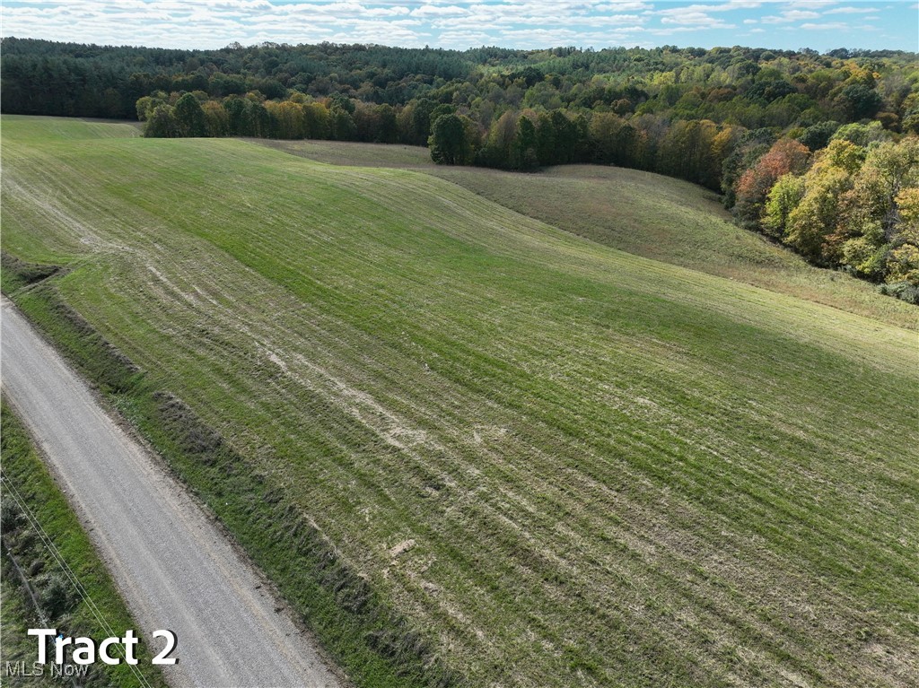 Crews Lane, Chesterhill, Ohio image 19