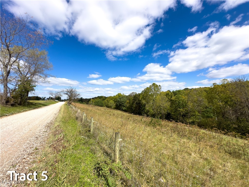 Crews Lane, Chesterhill, Ohio image 39