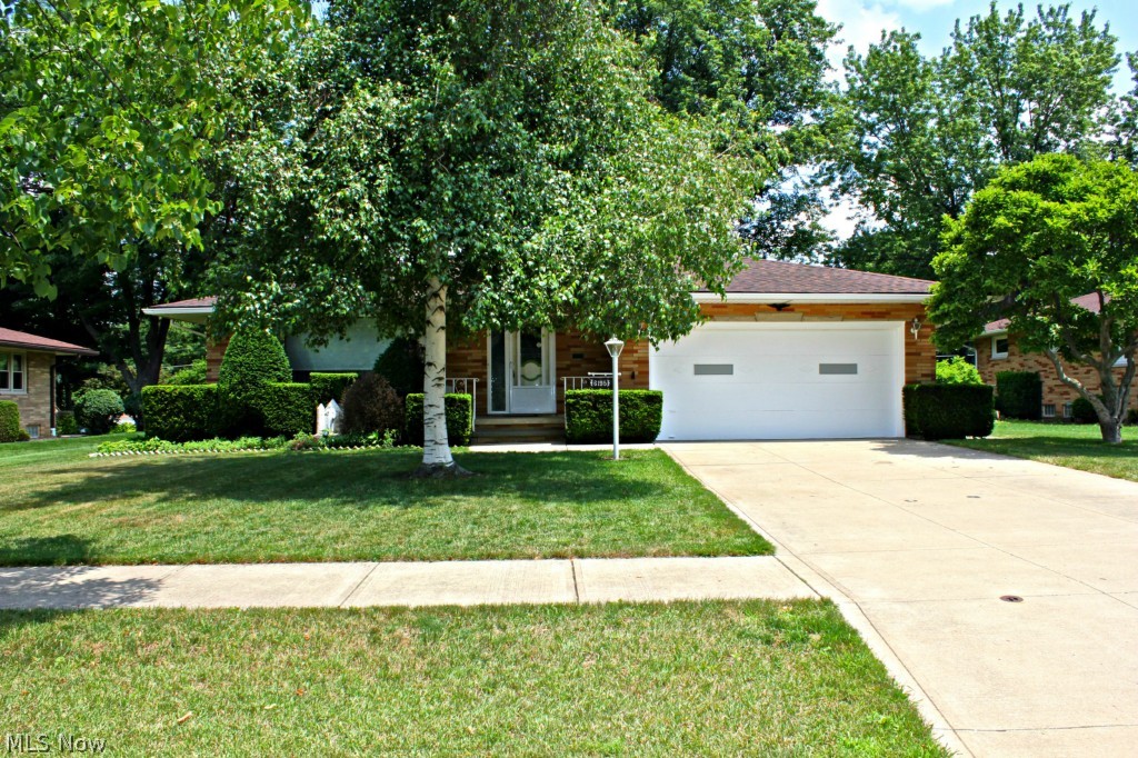 Albert Rispo 05-C - Residential