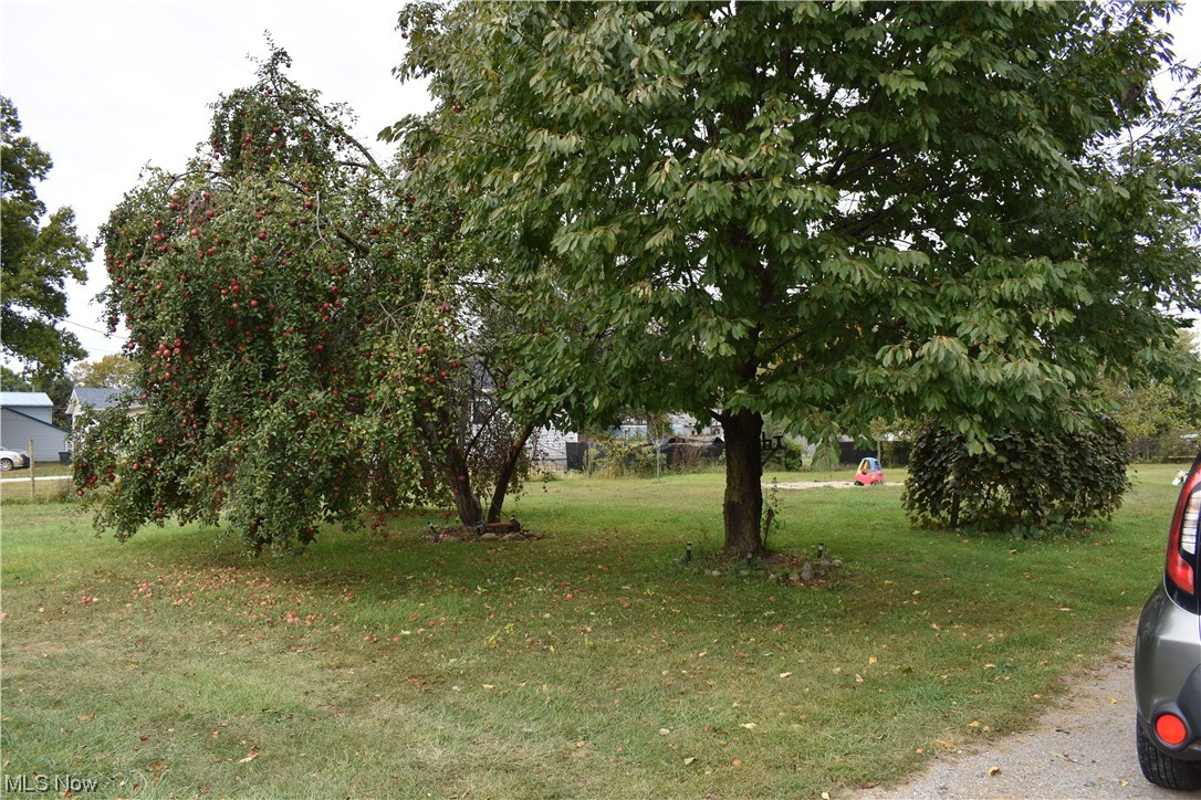 First Harrisburg Road Acreage - Residential