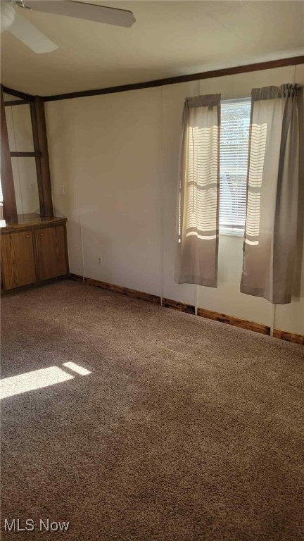 Blue Willow MHP - Residential