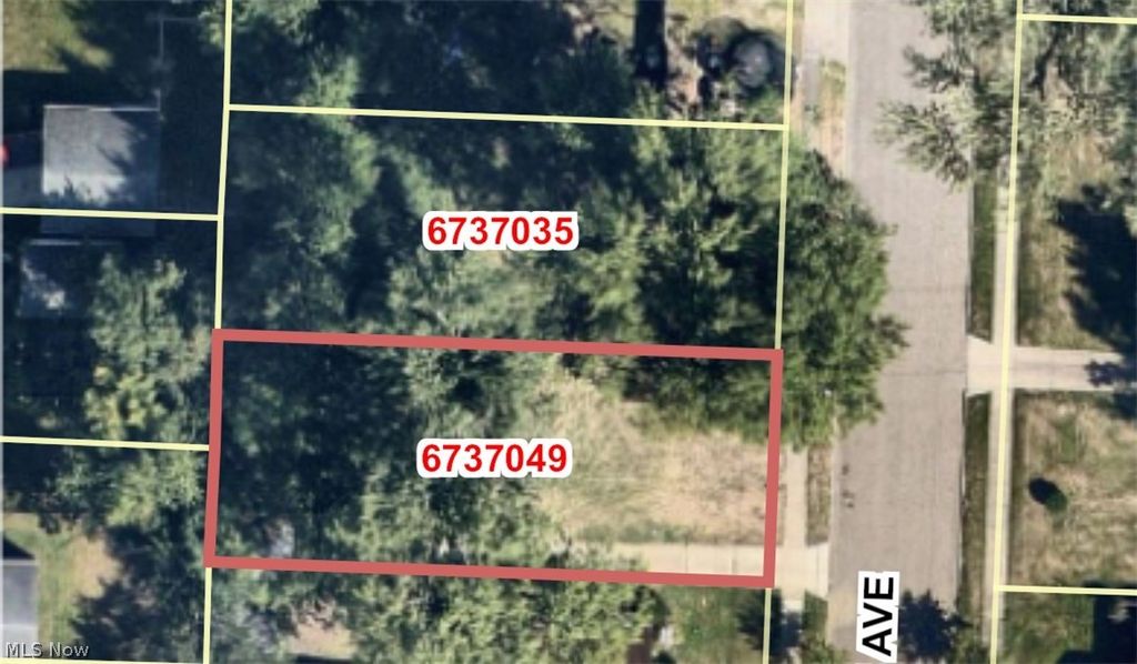 Photo of 784 Shoshone Avenue, Akron, OH 44305 (MLS # 5185634)