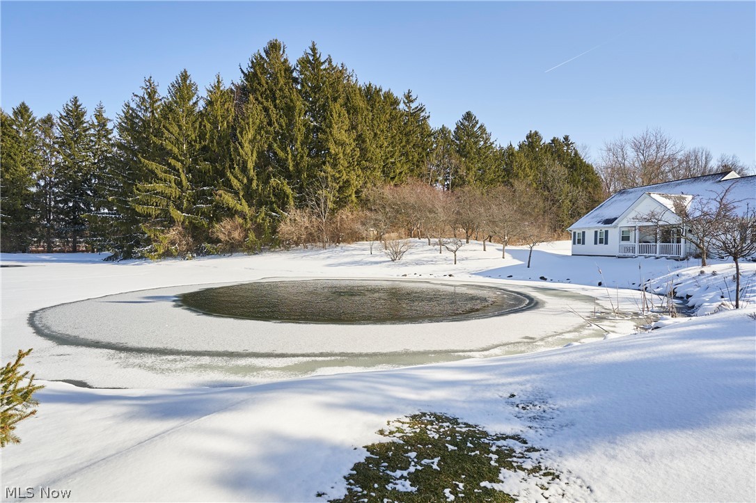 Macintosh Farms Condo 01 - Residential