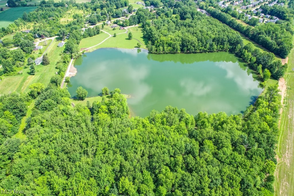 Chestnut Ridge Road, North Ridgeville, Ohio image 9