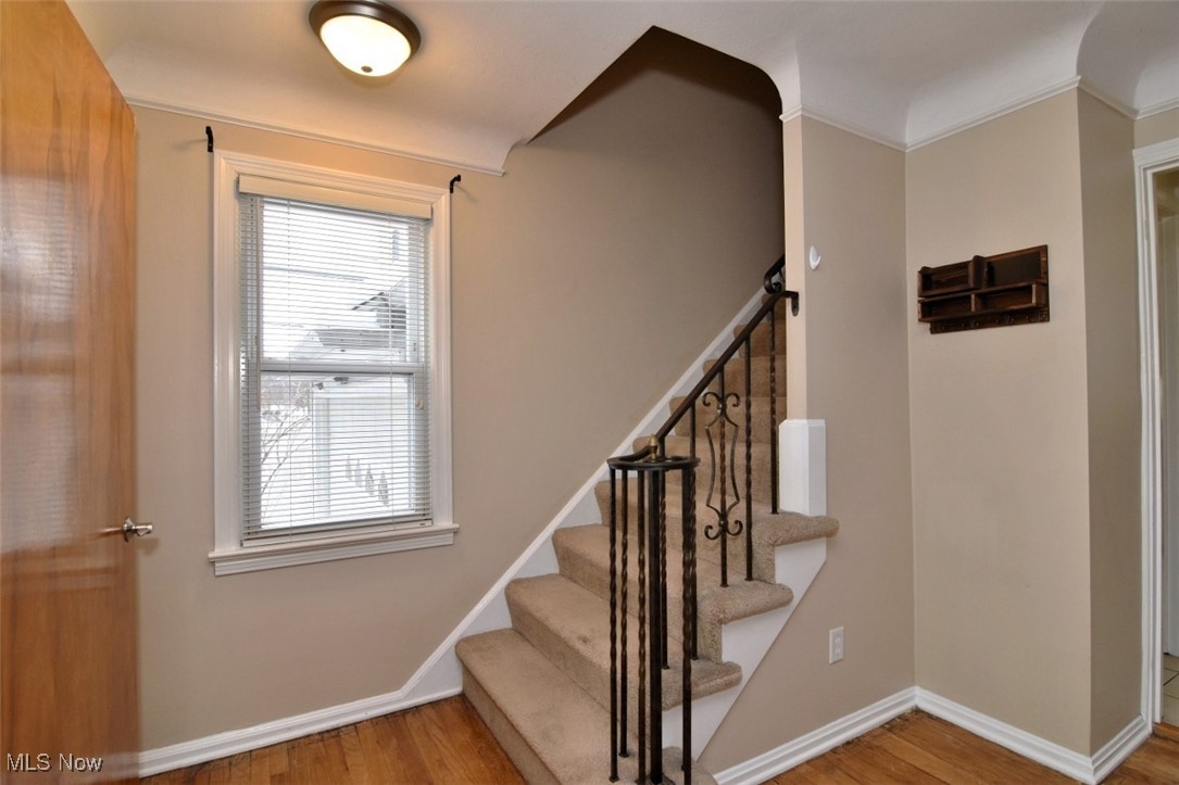 Lyndhurst Manor - Residential