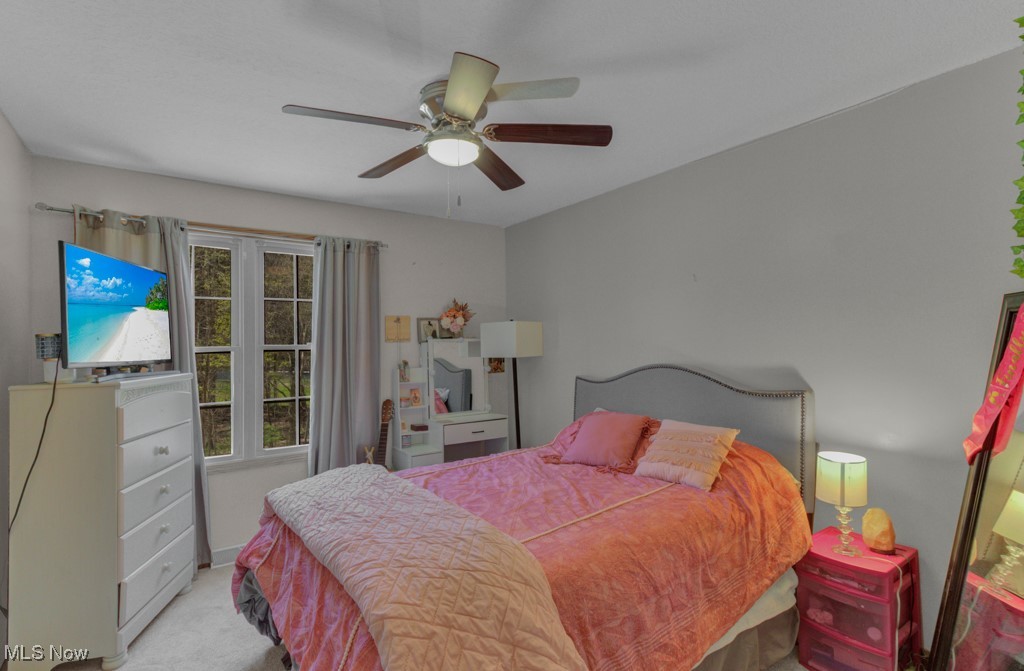 11 Alleghany Trail, Malvern, Ohio image 22