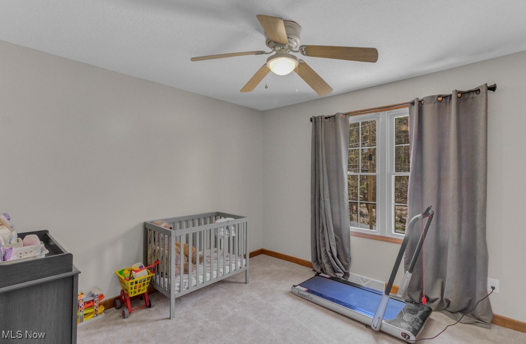 11 Alleghany Trail, Malvern, Ohio image 23