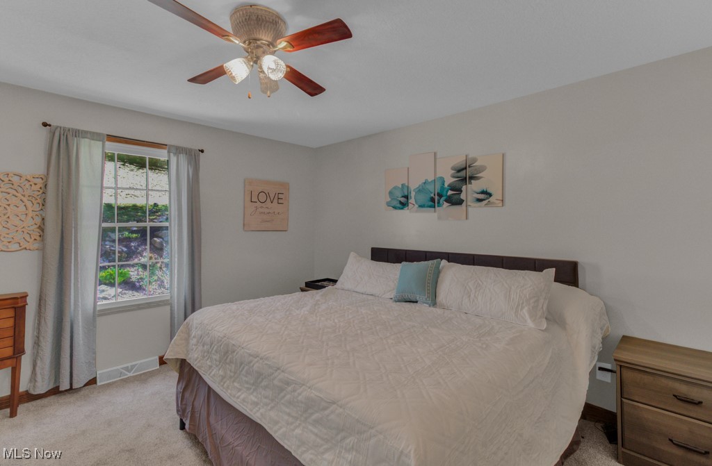11 Alleghany Trail, Malvern, Ohio image 18