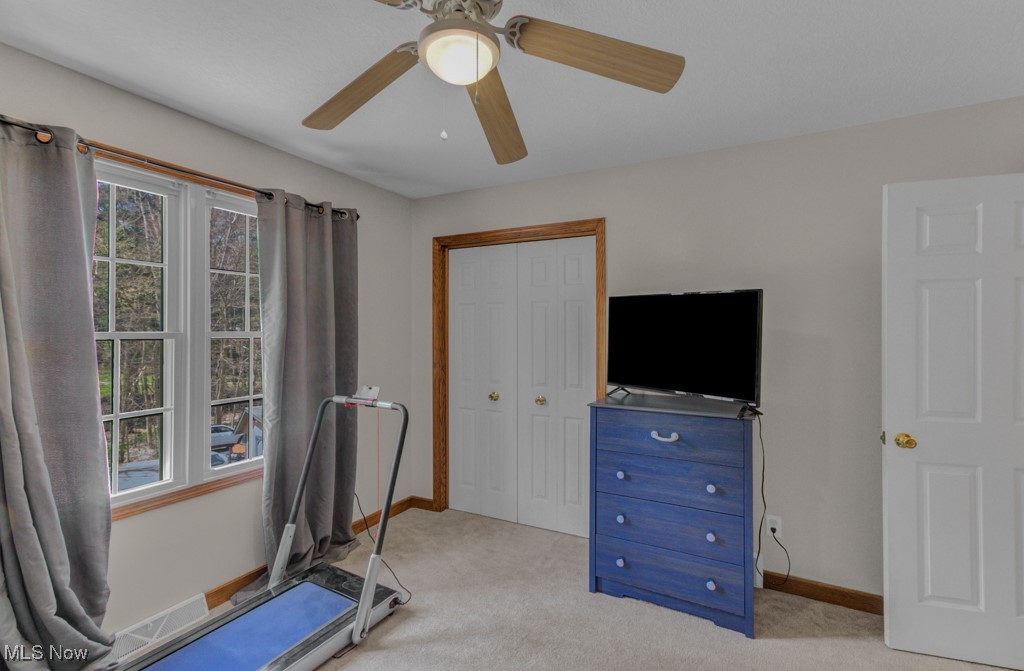 11 Alleghany Trail, Malvern, Ohio image 24
