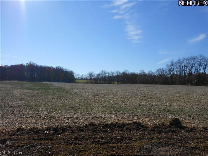 Beautiful, private 14 acre building site with small pond and landscaped ravine.  Land is level and surrounded by woods.  If you're looking for a great place to build your dream house you won't want to miss this!