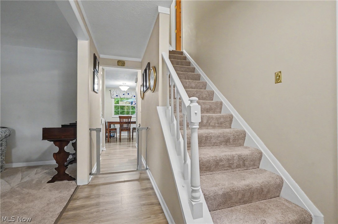 5410 Park Vista Court