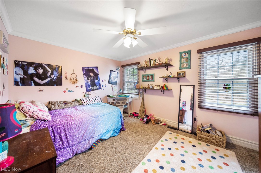 Old Meadow Estate - Residential