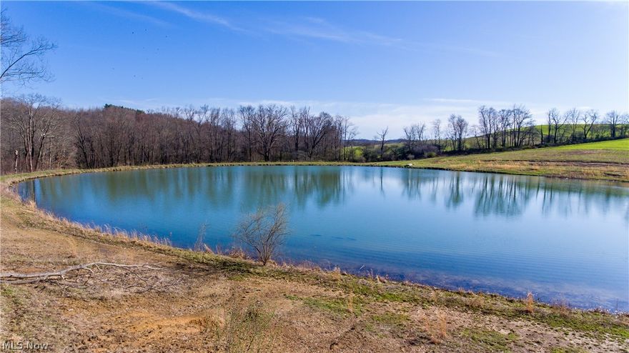 Love where you live! Enjoy hunting on your own 58 acres. This beautiful piece of property offers a 3 acre pond fully stocked with bass, perch and bluegill. A gravel driveway has been cut in that leads you back to your private land with plenty of wildlife. The property offers multiple tree stands, hunting blinds and trails throughout.  Build your dream home overlooking the pond!