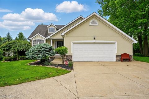 6868 Twin Oaks Court Canfield OH 44406