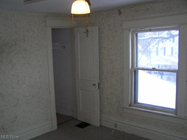 North Hill Allotment - Residential