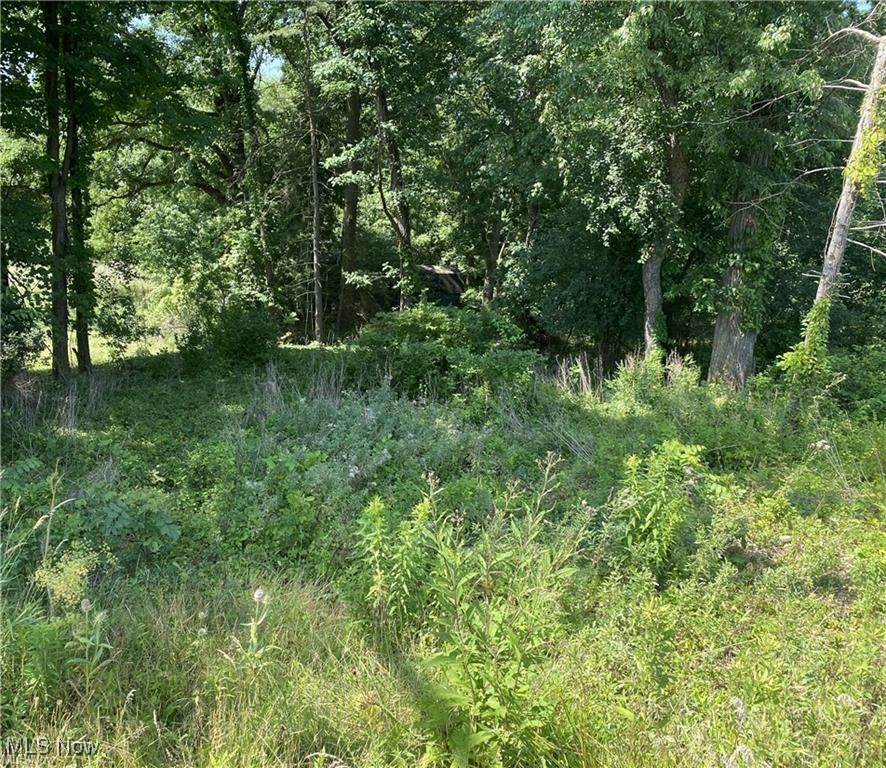 Build the home of your dreams on this lot located in Jackson Twp in the desirable Jackson Local School District. Conveniently located just minutes from Belden Village, schools, shopping, highways and restaurants. There are 2 storage sheds on the property and lot has a slope which will make it great to build a walk out basement. Water, Sewer and electricity are available at the street. No restrictions on builder, so contact your favorite builder and get started today on your new home.