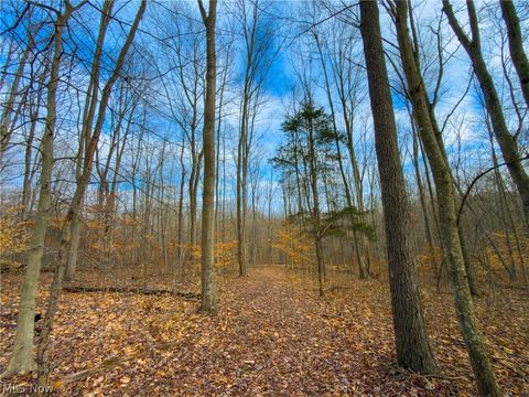 Vacant Land For Sale - Long Fork<br/> Pike County, Piketon, OH 45661