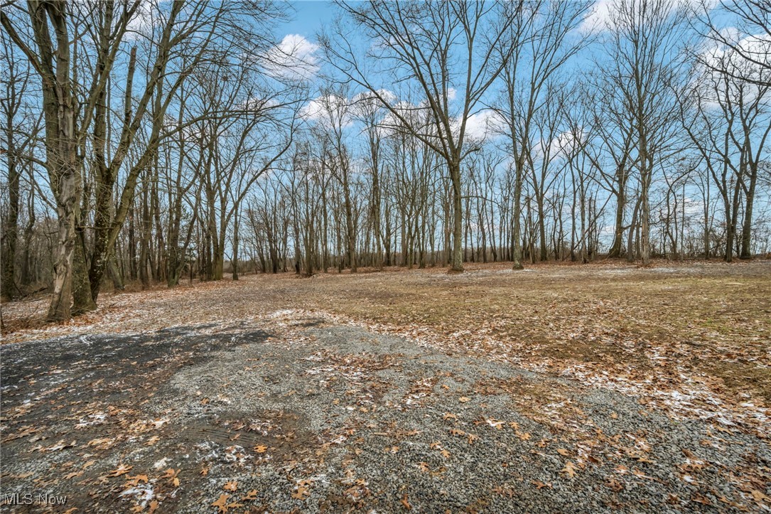 43575 Cream Ridge Road, Lisbon, Ohio image 37