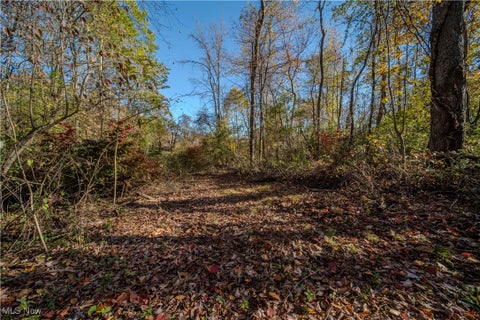 Photo for 1410 Saxe Road