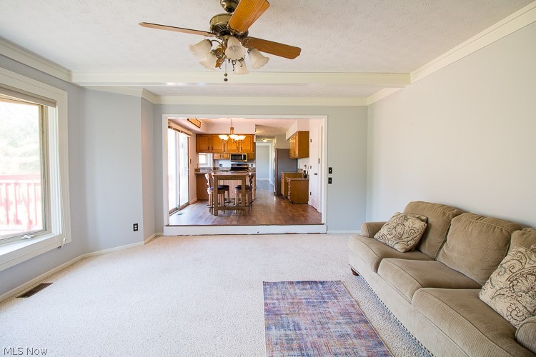 Ivy Hill Estates - Residential