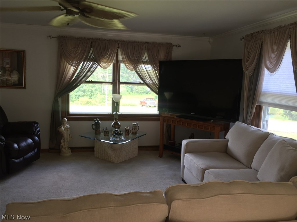 Pine Hills - Residential