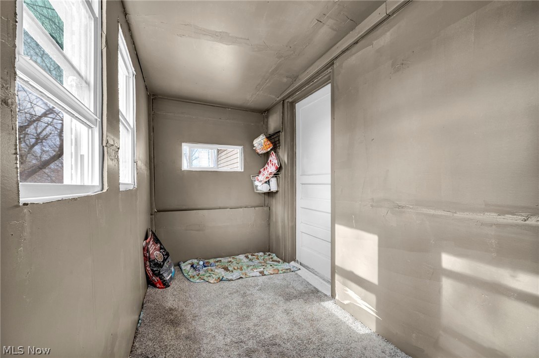 Pointer - Residential