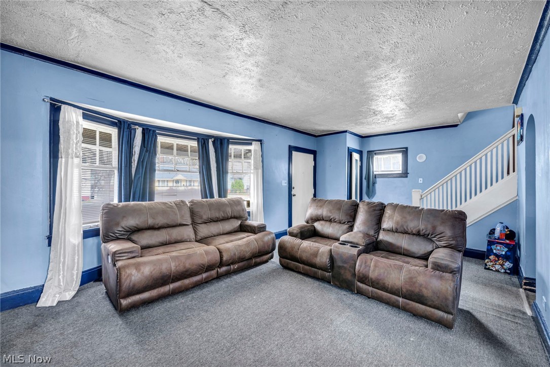 Pointer - Residential