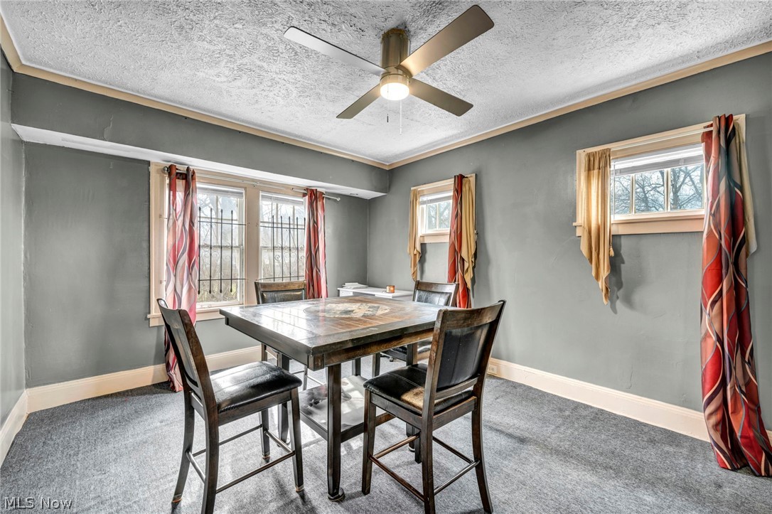 Pointer - Residential