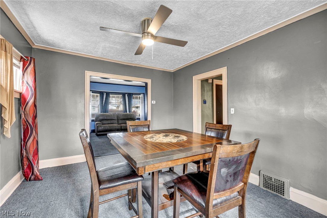 Pointer - Residential