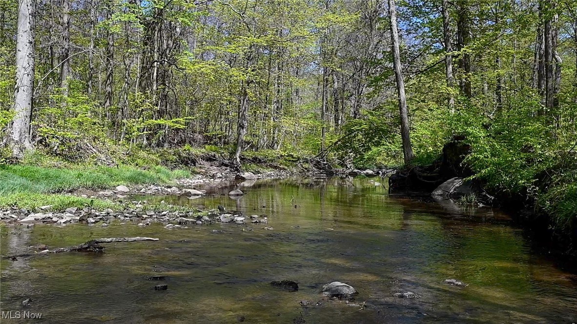 15020 Steelhead Run, Chardon, Ohio image 4