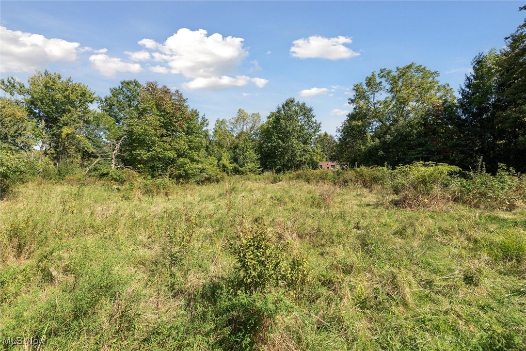 Olmsted 06 - Residential