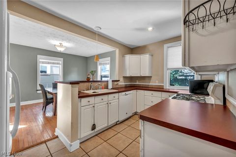 Tiny photo for 10410 Baltic Road, Cleveland, OH 44102 (MLS # 5190455)