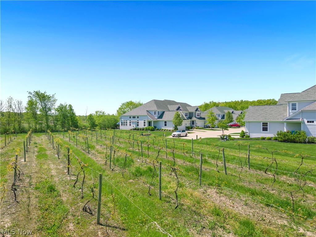 Arrington Village - Residential