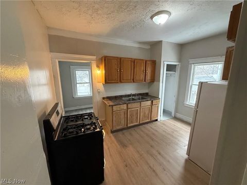 Tiny photo for 1028 E 146 Street, Cleveland, OH 44110 (MLS # 5221611)
