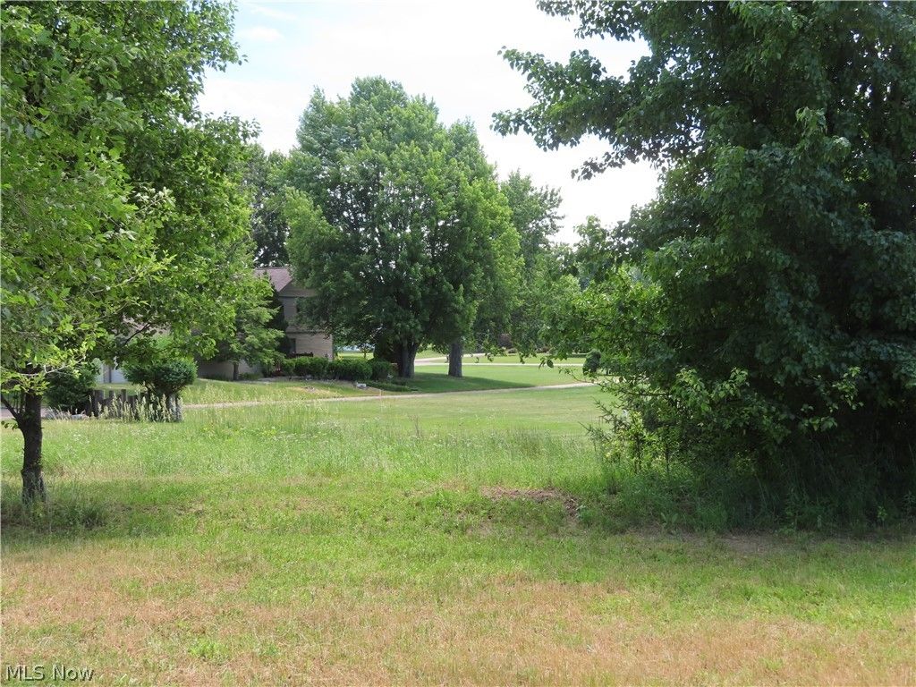 Photo of 5773 Deer Pines Drive, Green, OH 44216 (MLS # 5217897)
