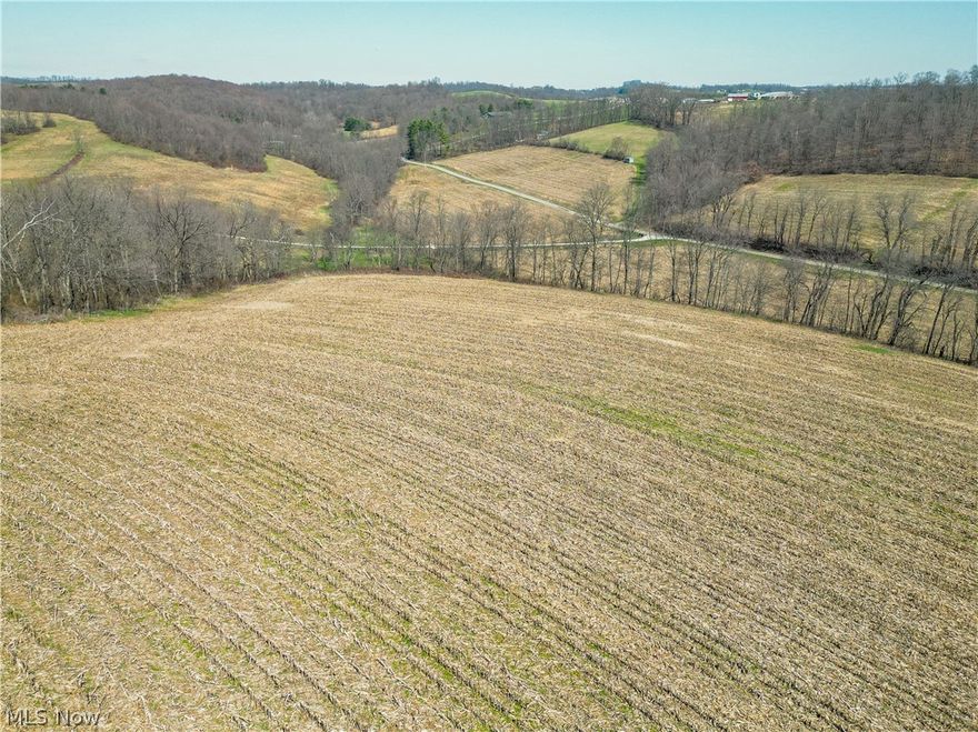 Parcel 13 - This 12-acre tract is primarily open and offers 677 feet of road frontage. The combination of usable acreage and strong access makes it suitable for farming, building, or expanding adjacent holdings.
