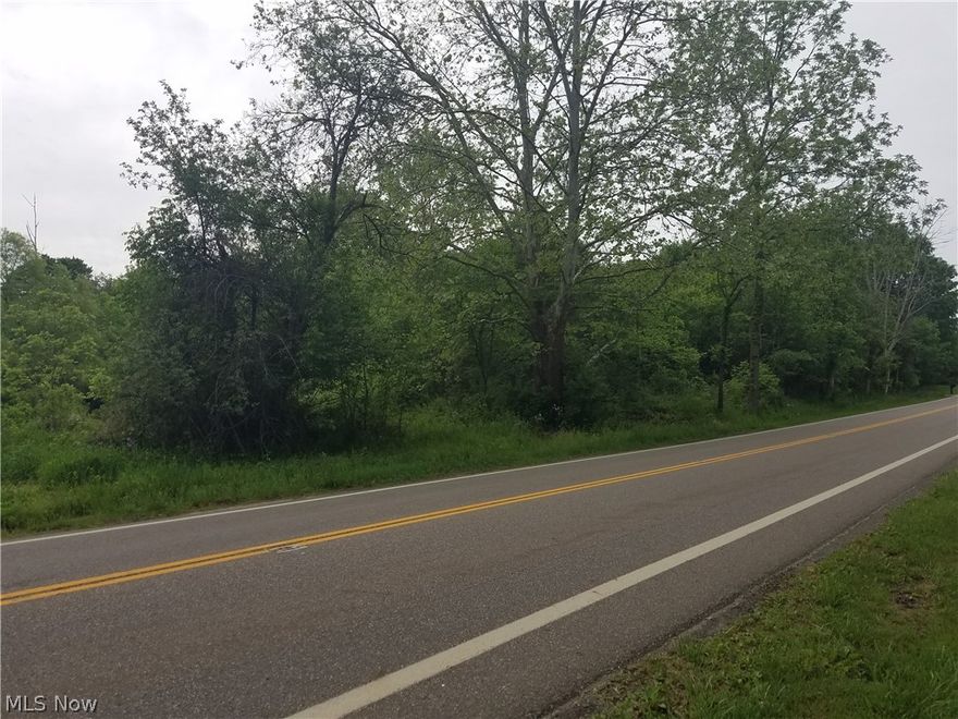 Consisting of a 21.5 acre tract of Land with over 300 feet of road frontage on Kelly Park Rd (SR 164). 14 Acres of tillable farm land currently planted in good production.  (Rentor has rights to crops for 2021)  Six acres of wooded ground and active stream.  The whole tract is rolling with good natural drainage.  The frontage is 253' at North line and 60' at South.  Located in Fairfield Twp. Crestview Schools. Columbiana County.