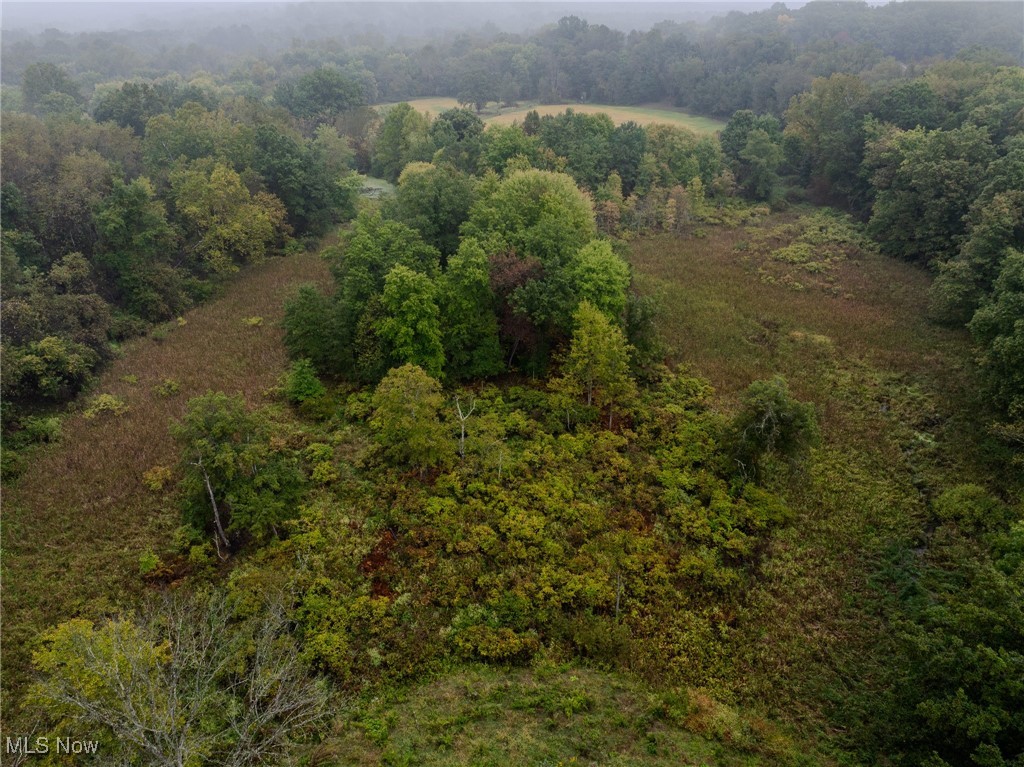 Minerva Road, Magnolia, Ohio image 17