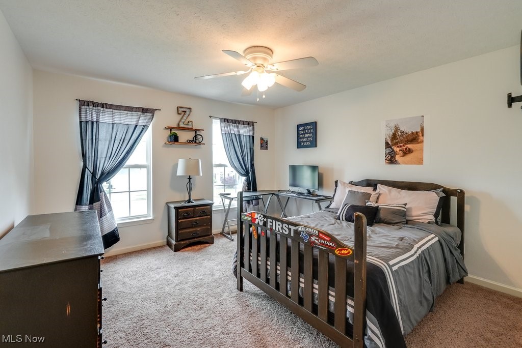 308 Montabella Place, Canton, Ohio image 29