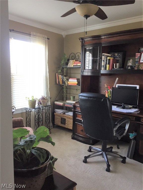 Mulberry Run 5 - Residential