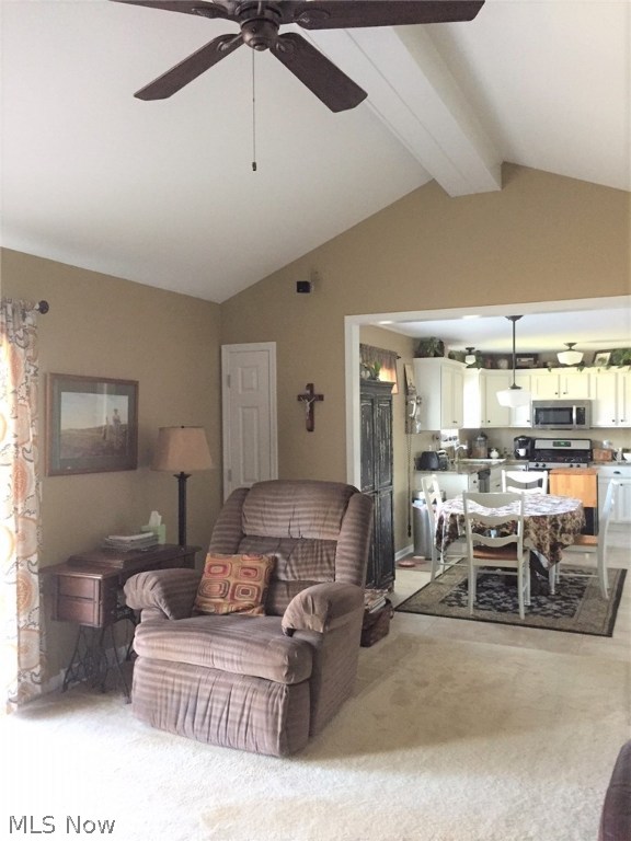 Mulberry Run 5 - Residential