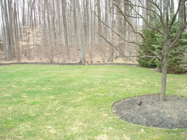 Canyon Lake Colony 11a - Residential