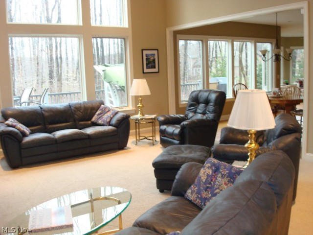 Canyon Lake Colony 11a - Residential