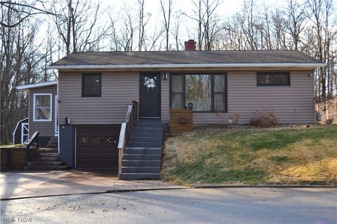 Photo of 224 Sharon Avenue, Ashland, OH 44805 (MLS # 5187684)