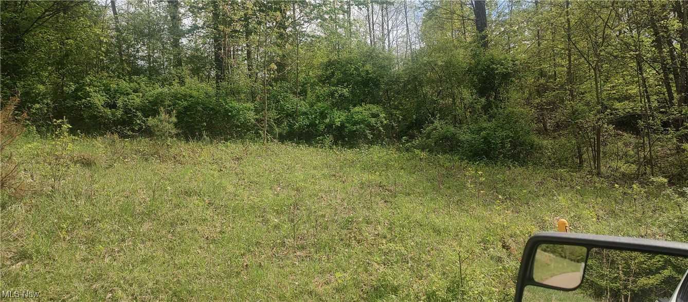 Scott Drive, Newcomerstown, Ohio image 1