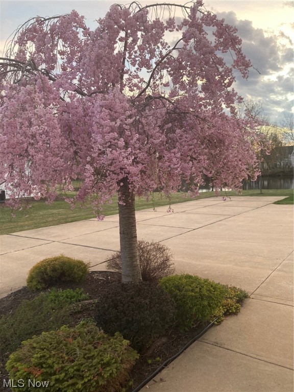 North Creek - Residential